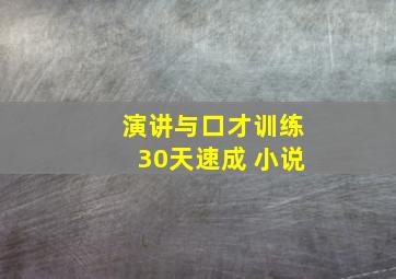 演讲与口才训练30天速成 小说